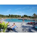 Commander un traitement anti-algues efficace à Perpignan pour savoir comment rattraper une eau de piscine verte devenue trouble après les fortes chaleurs.